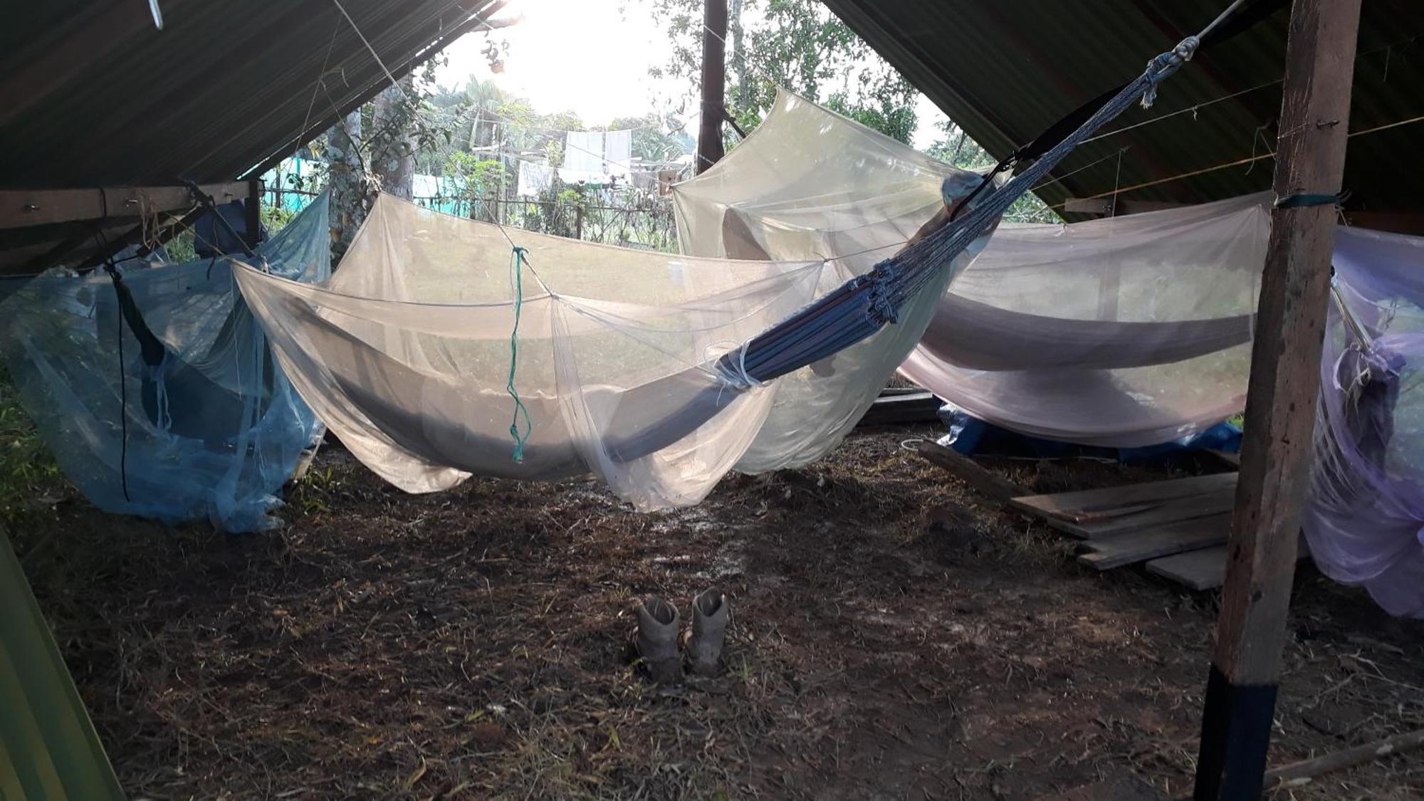 Xingu Camping Site Leticia Værelse billede
