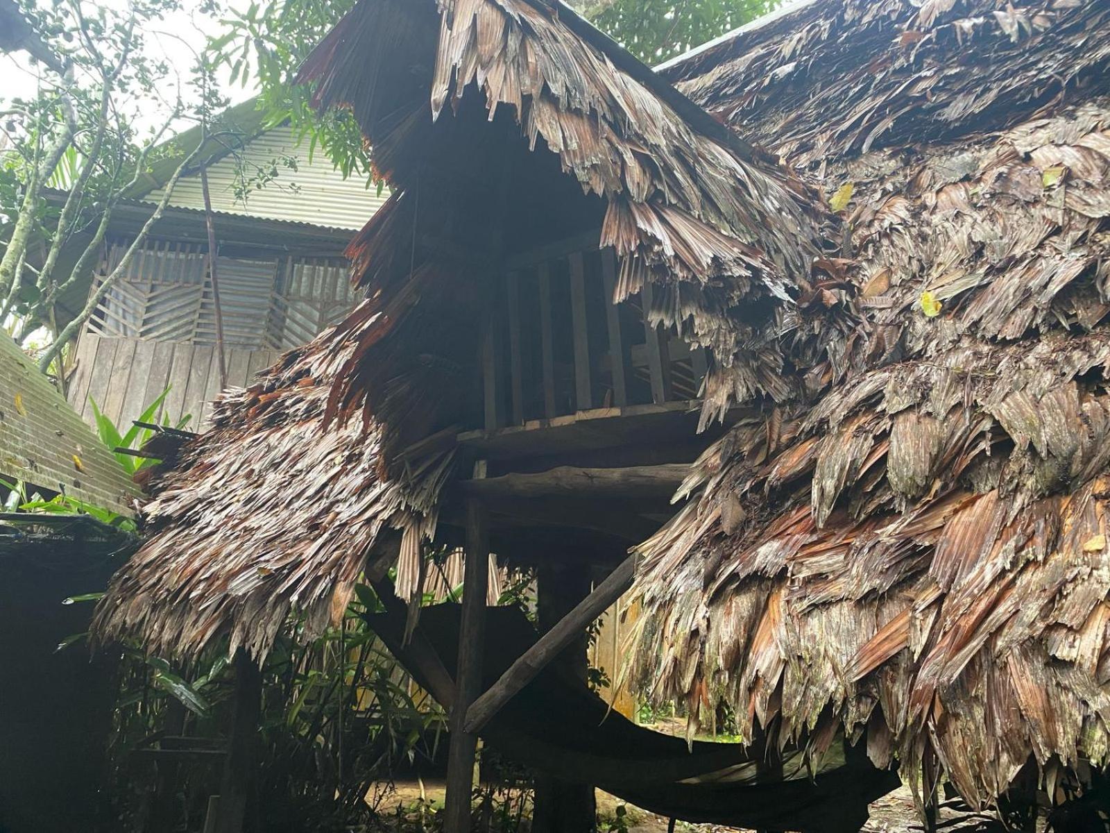 Xingu Camping Site Leticia Eksteriør billede