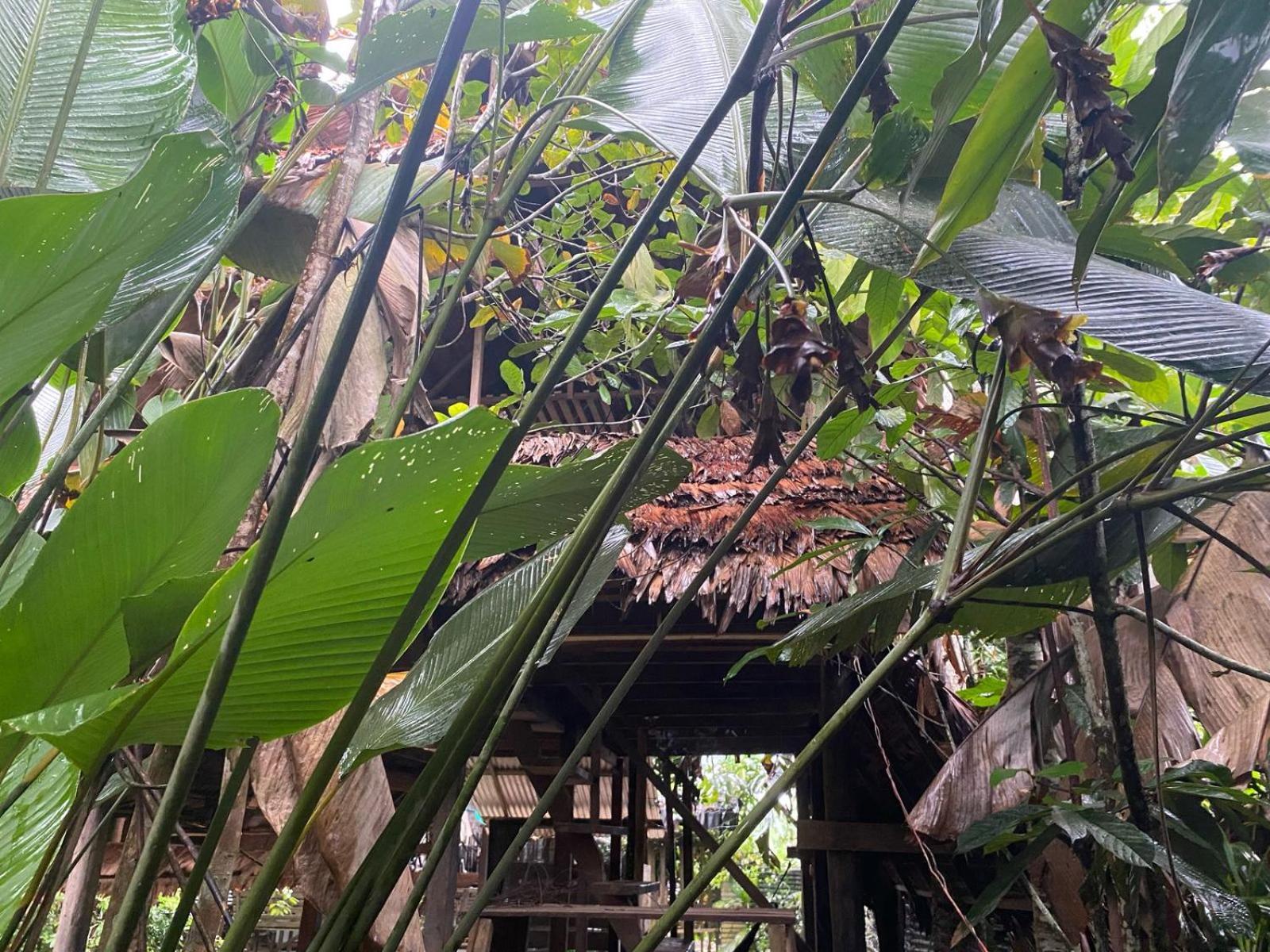 Xingu Camping Site Leticia Eksteriør billede