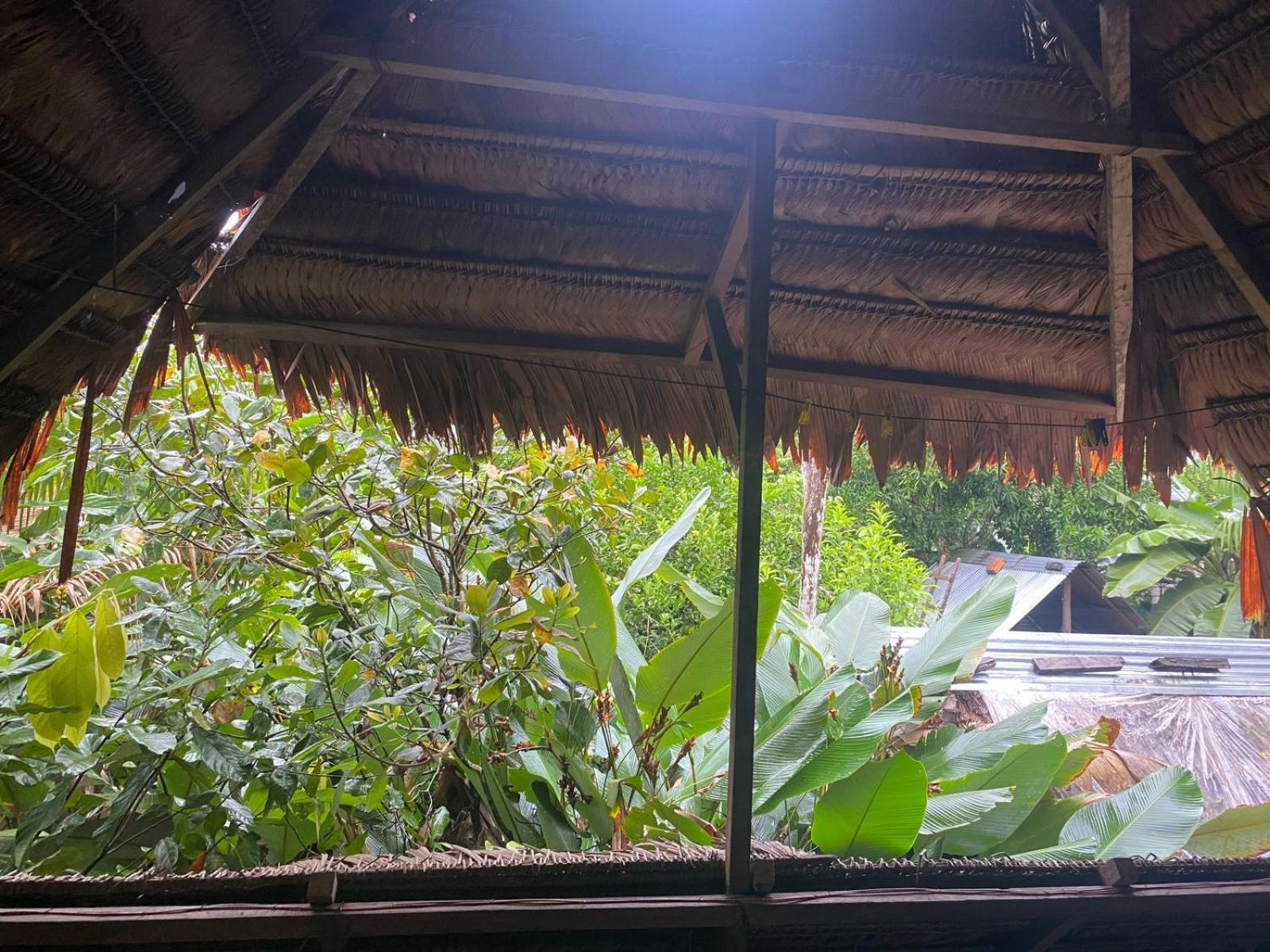 Xingu Camping Site Leticia Eksteriør billede