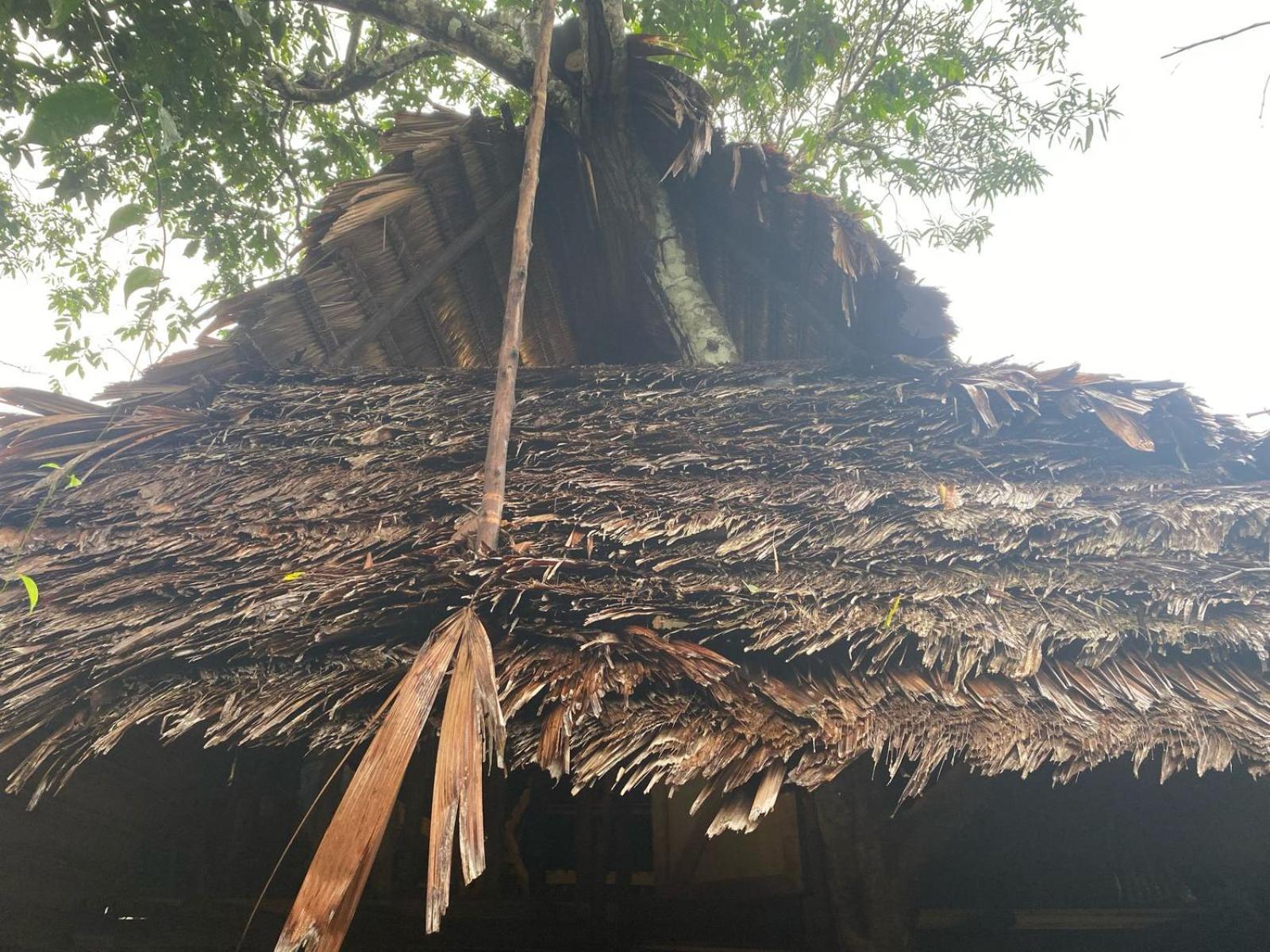 Xingu Camping Site Leticia Eksteriør billede