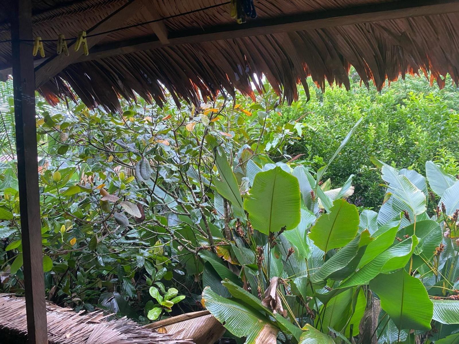 Xingu Camping Site Leticia Eksteriør billede