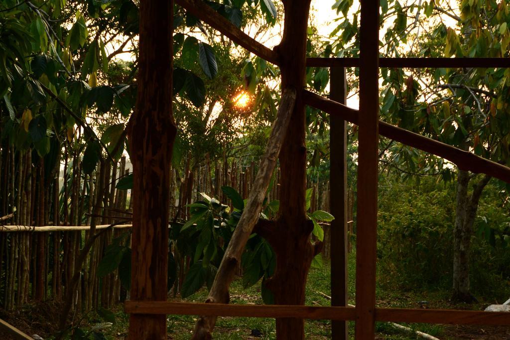Xingu Camping Site Leticia Eksteriør billede