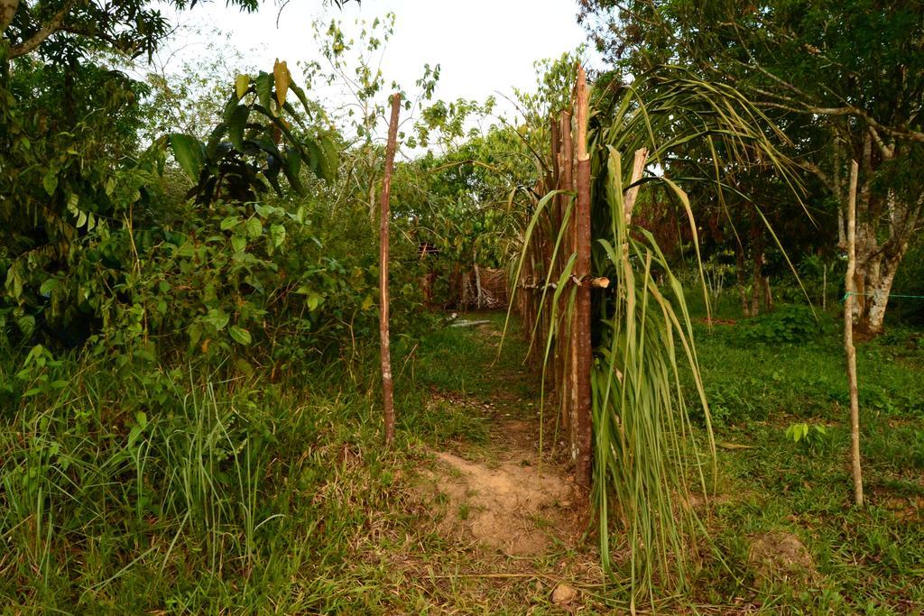 Xingu Camping Site Leticia Eksteriør billede