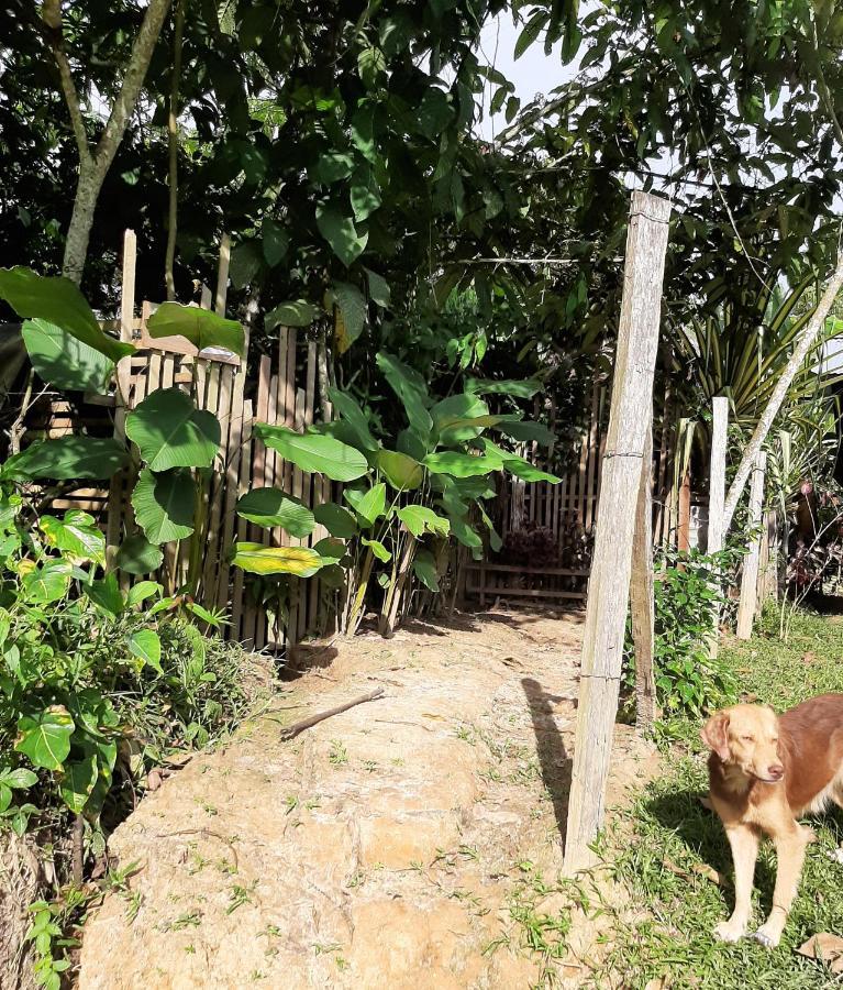 Xingu Camping Site Hotel Leticia Eksteriør billede