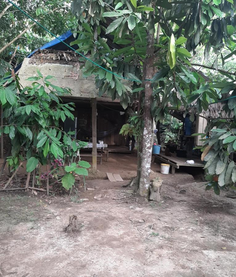 Xingu Camping Site Leticia Eksteriør billede