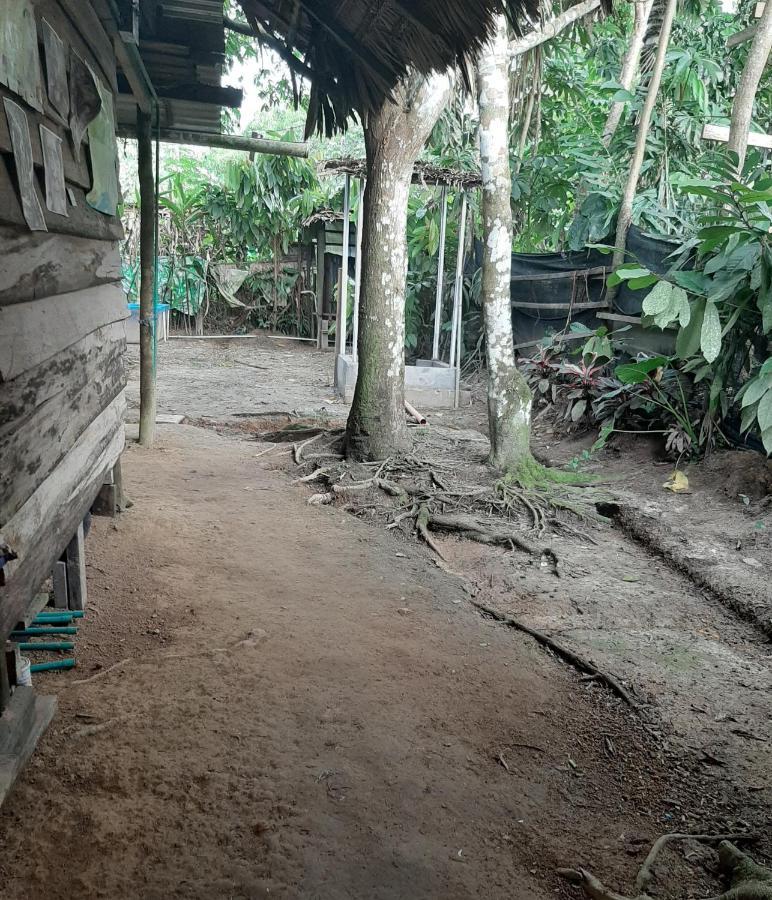 Xingu Camping Site Leticia Eksteriør billede